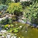 Paradise Apartament