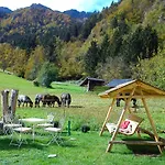Paradise Apartament