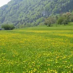 Paradise Apartament