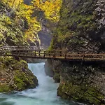 Paradise * Bohinjska Bela