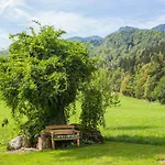 Apartament Paradise Bohinjska Bela