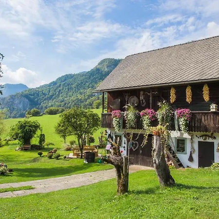 Paradise Bohinjska Bela