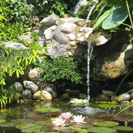 Paradise *