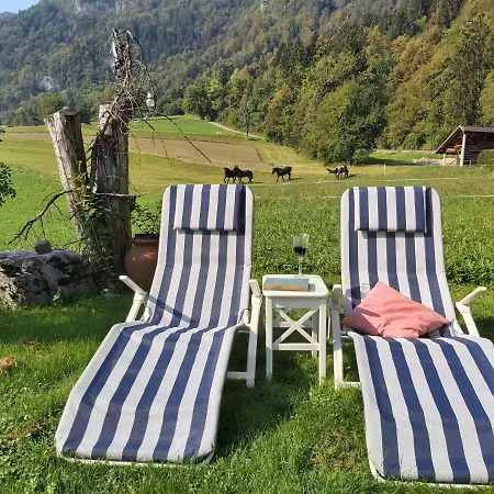 Paradise Appartement Bohinjska Bela
