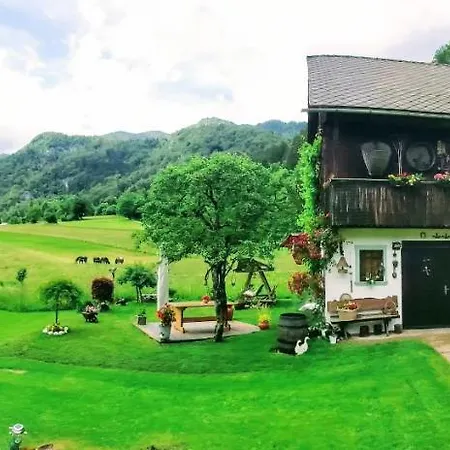 Paradise * Bohinjska Bela