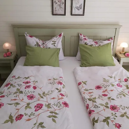 Paradise 波希基斯卡贝拉