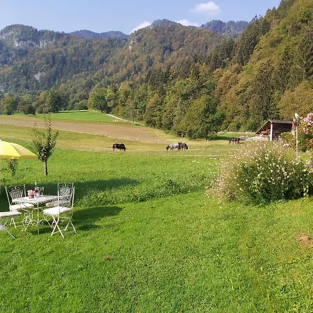 Paradise * Bohinjska Bela