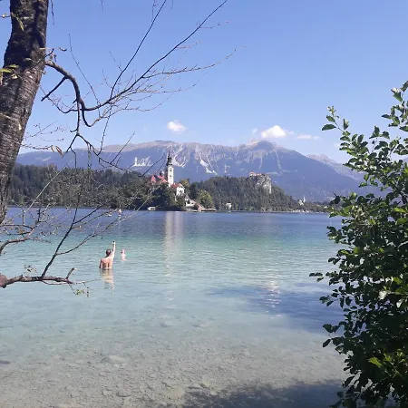 Paradise Апартаменты *