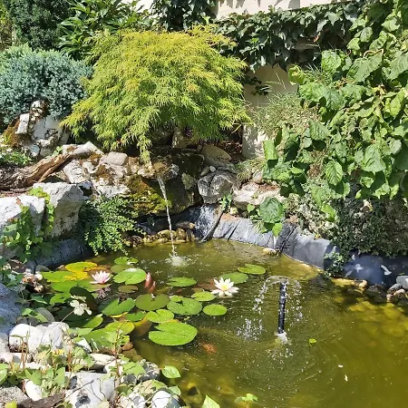 Paradise Апартаменты