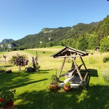 Paradise Apartment *
