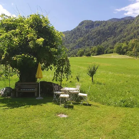 Paradise * Bohinjska Bela