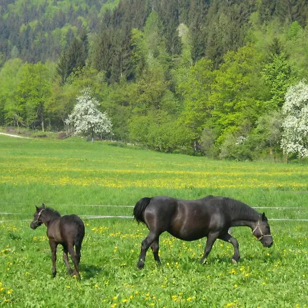 Paradise Апартаменты *