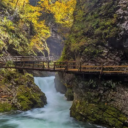 Paradise * Bohinjska Bela