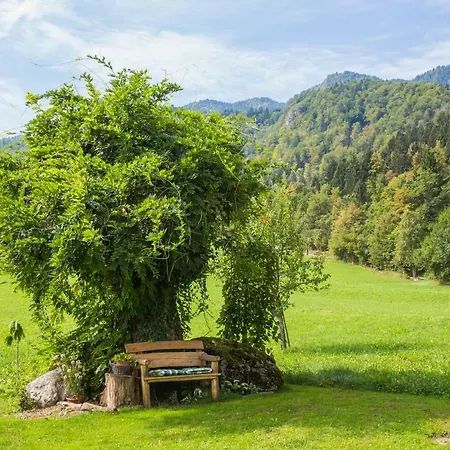 Apartman Paradise Bohinjska Bela