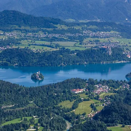 Paradise Bohinjska Bela