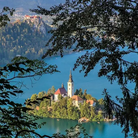 Paradise Apartman Bohinjska Bela