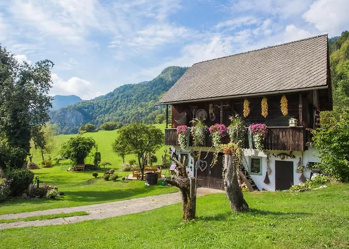 Paradise Bohinjska Bela