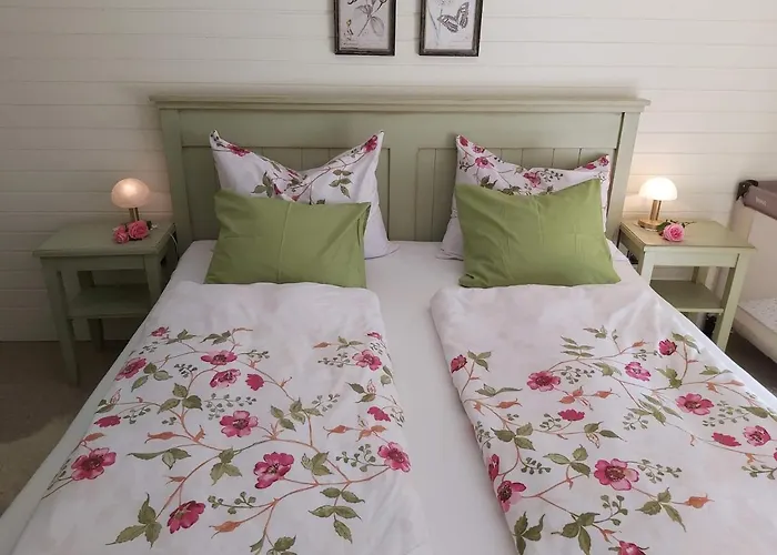 Paradise Bohinjska Bela