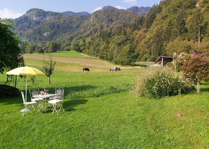 Paradise * Bohinjska Bela