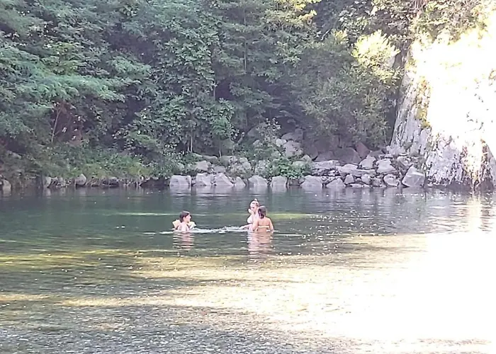 Apartament Paradise *