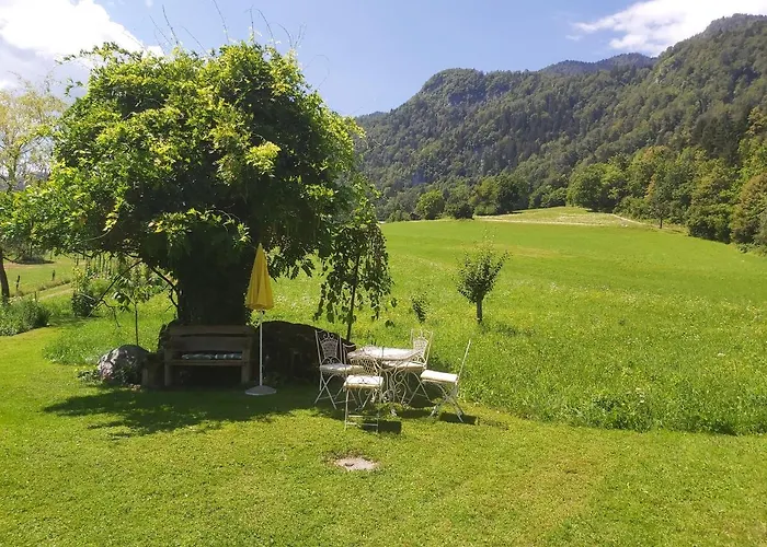 Paradise * Bohinjska Bela