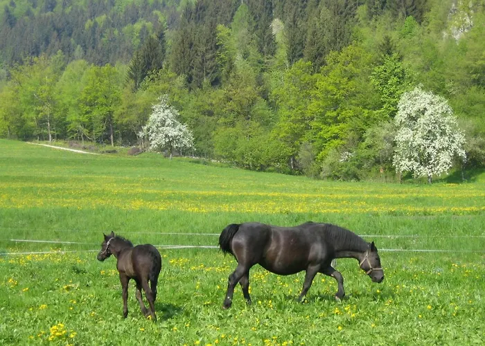 Paradise Apartament *