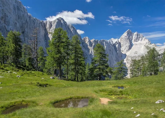 Paradise بوهينيسكا بيلا