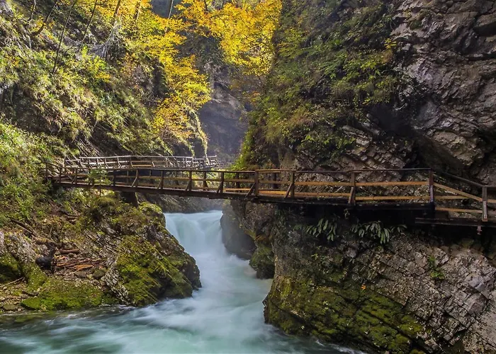 Paradise * Bohinjska Bela