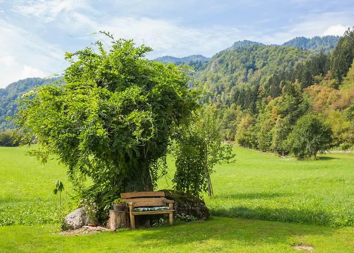 Apartament Paradise Bohinjska Bela